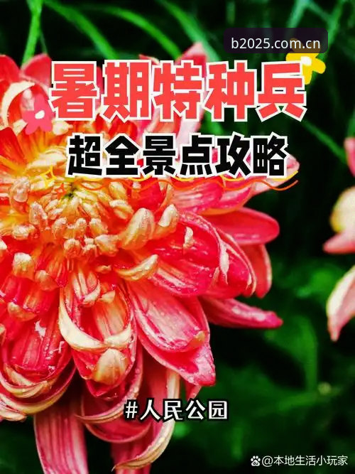B体育官网地址全面解析：2025新版入口深度体验与实用指南